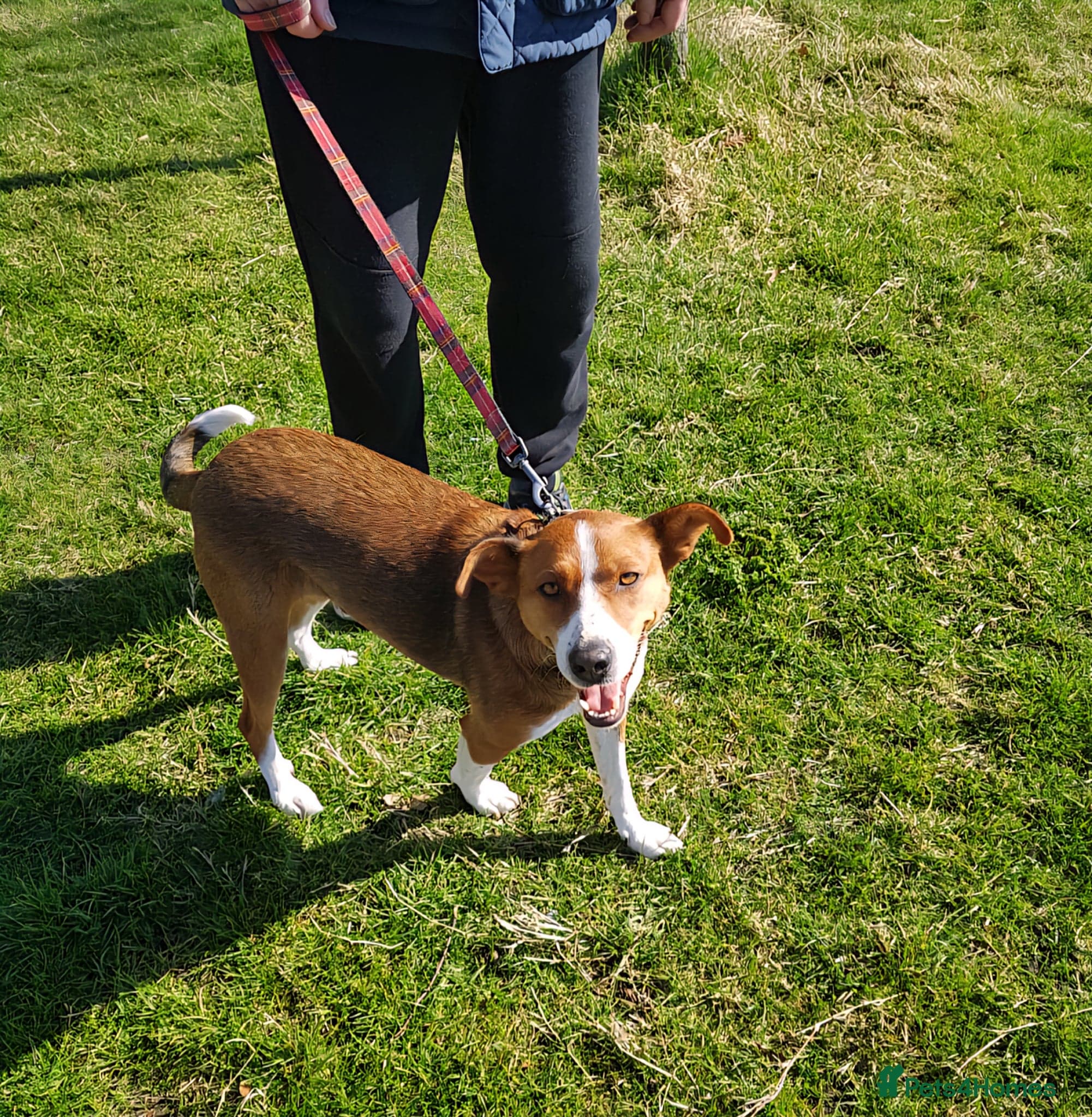 Affectionate Milli photo 2