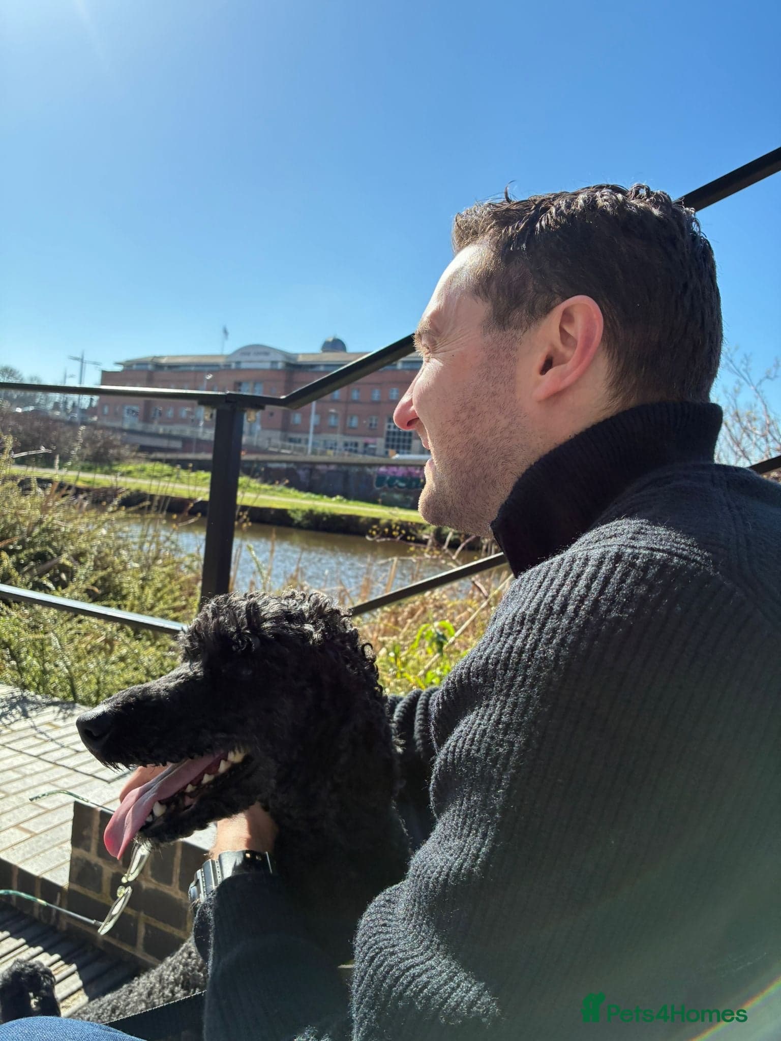 οΈπΆ charlie photo 14