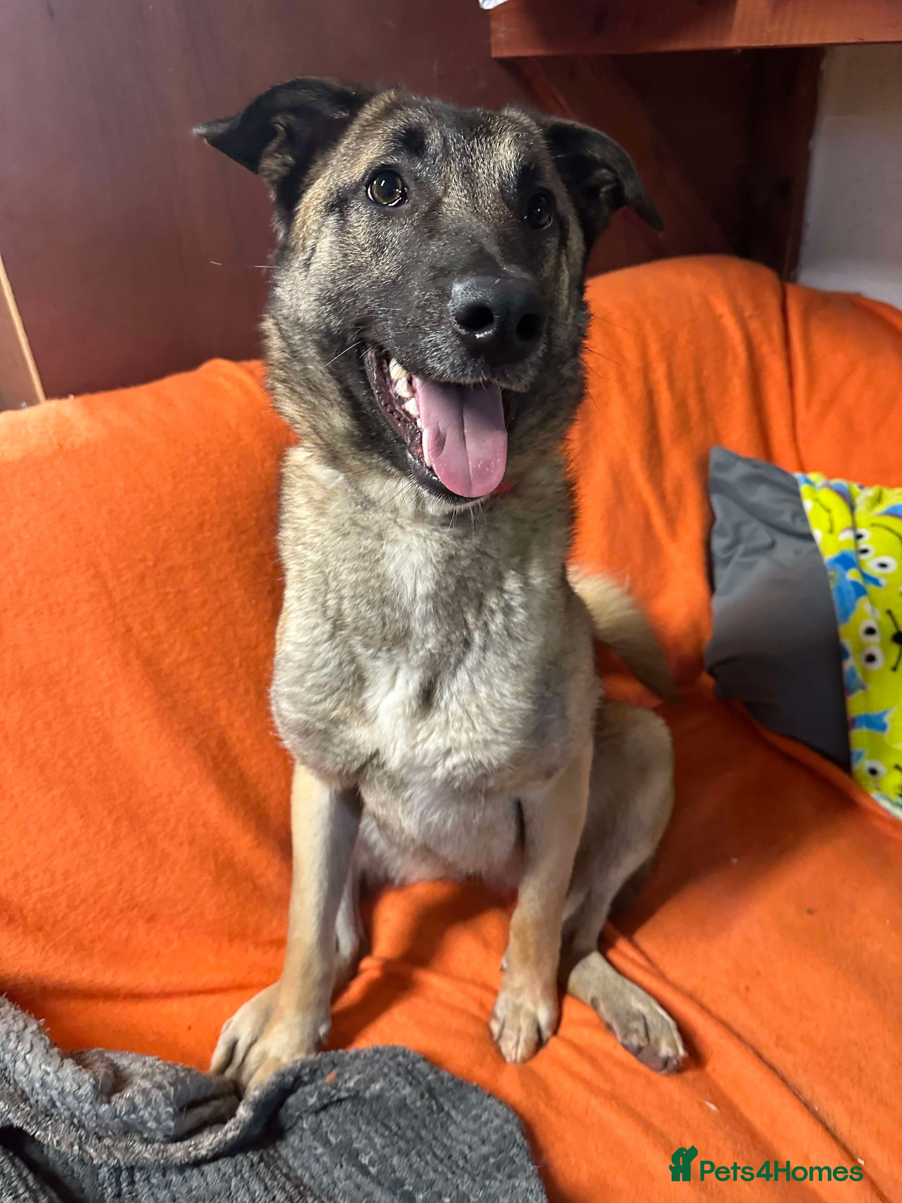 Meet Vera, currently residing in Cheshire photo 31