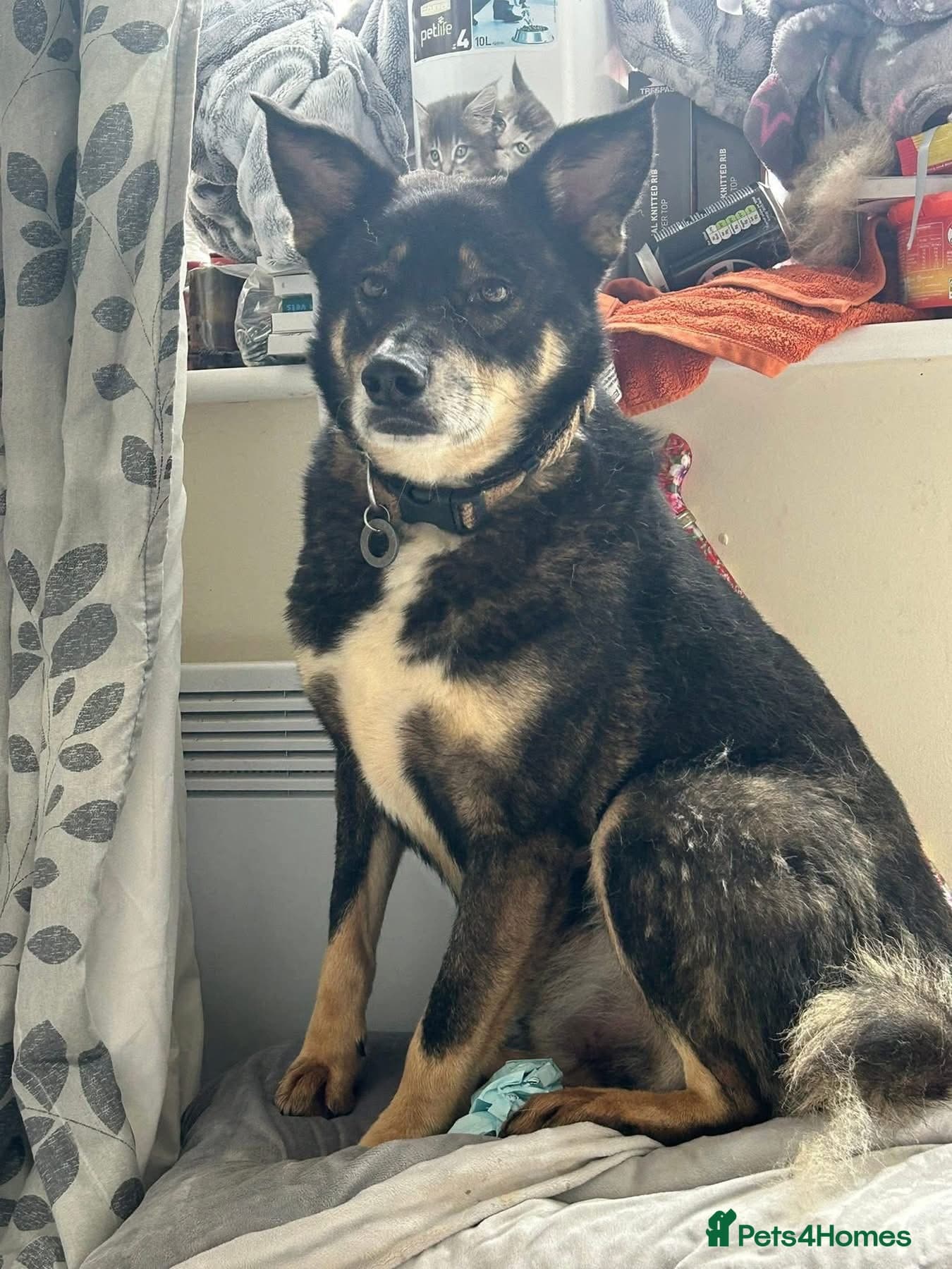 Ben - Norwich Norfolk photo 14