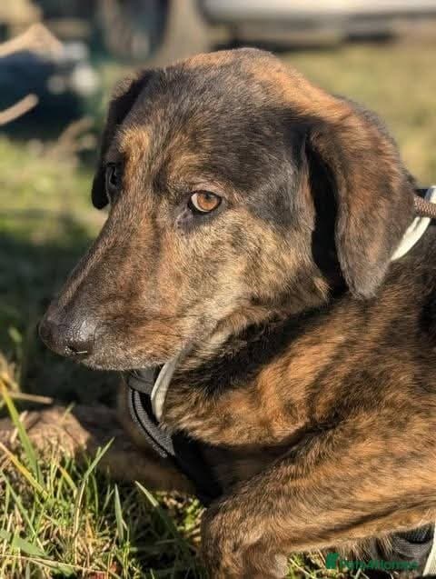 Meet Jess, currently residing in Essex photo 14