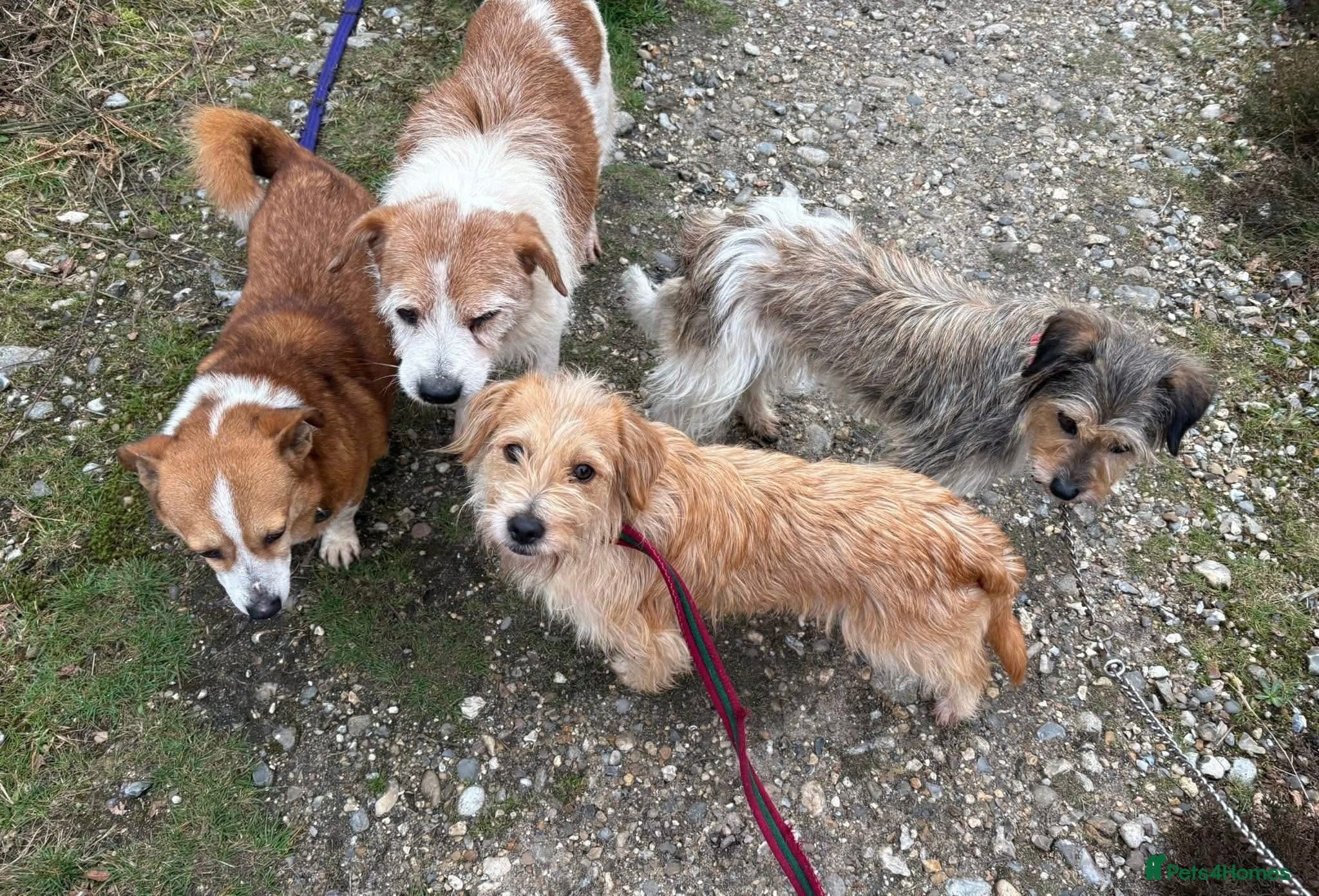 Yara - Norwich Norfolk photo 8