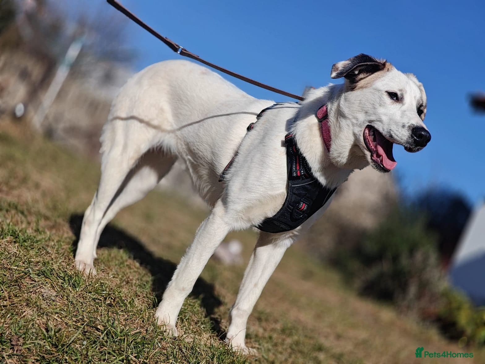 ️PLIAMKA❤️She photo 9