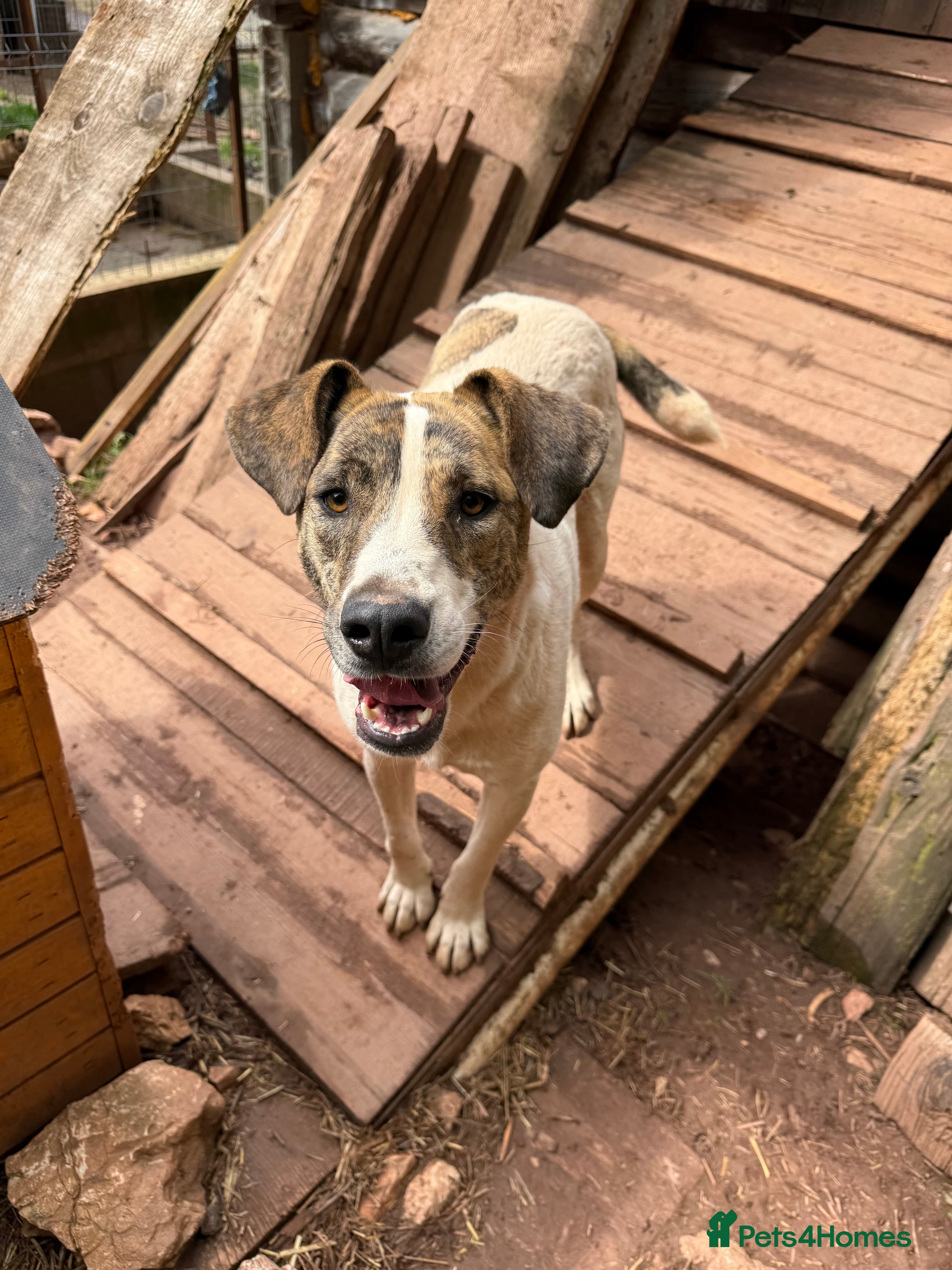 Jasmine π©· photo 2