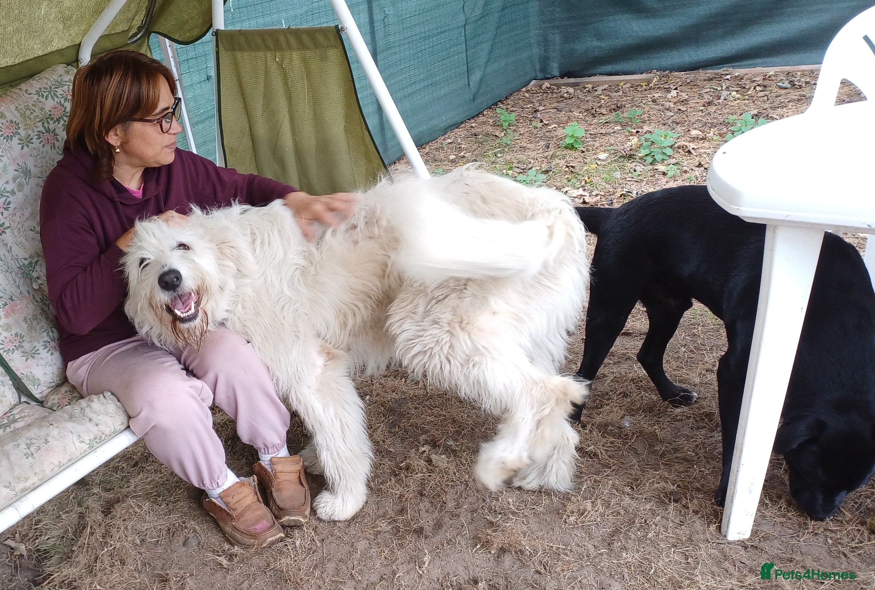 JOJO,URGENT🖤 Superb big Girl photo 14