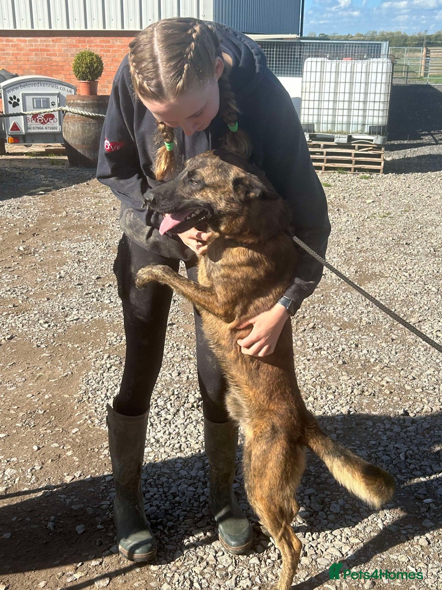 Beautiful buzz photo 5