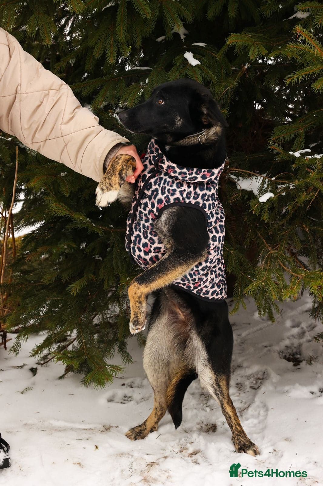 ️MILLA❤️11 month, calm, thoughtful girl photo 5