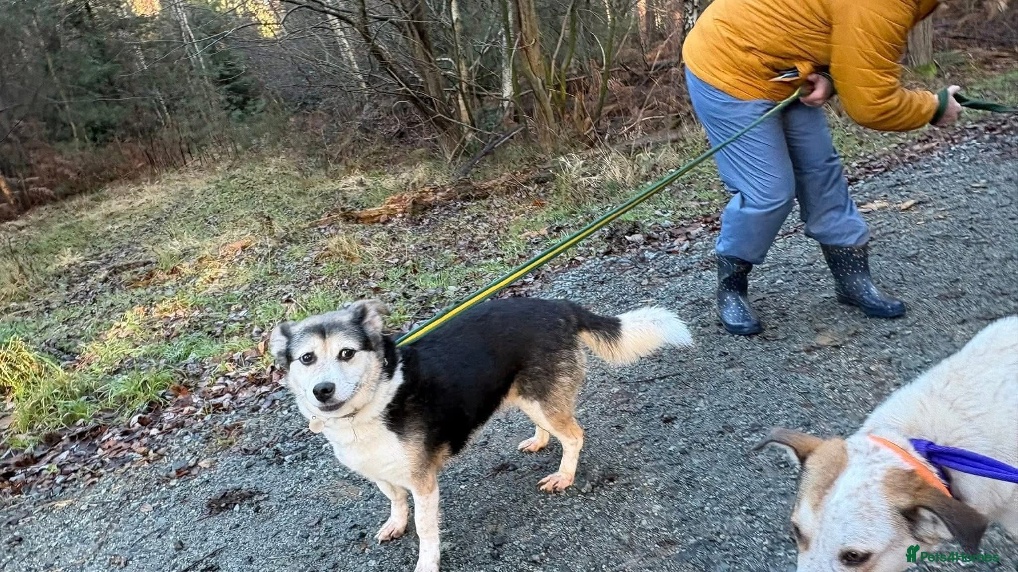 Tara - Norwich Norfolk photo 8