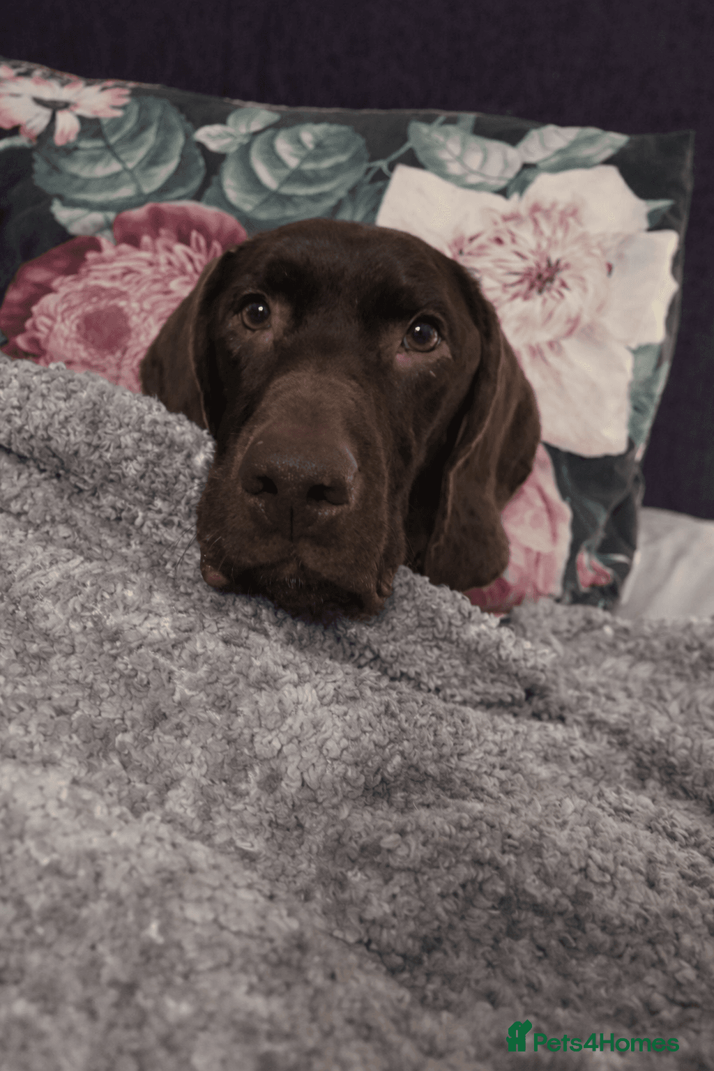 ️ meet wilson photo 20