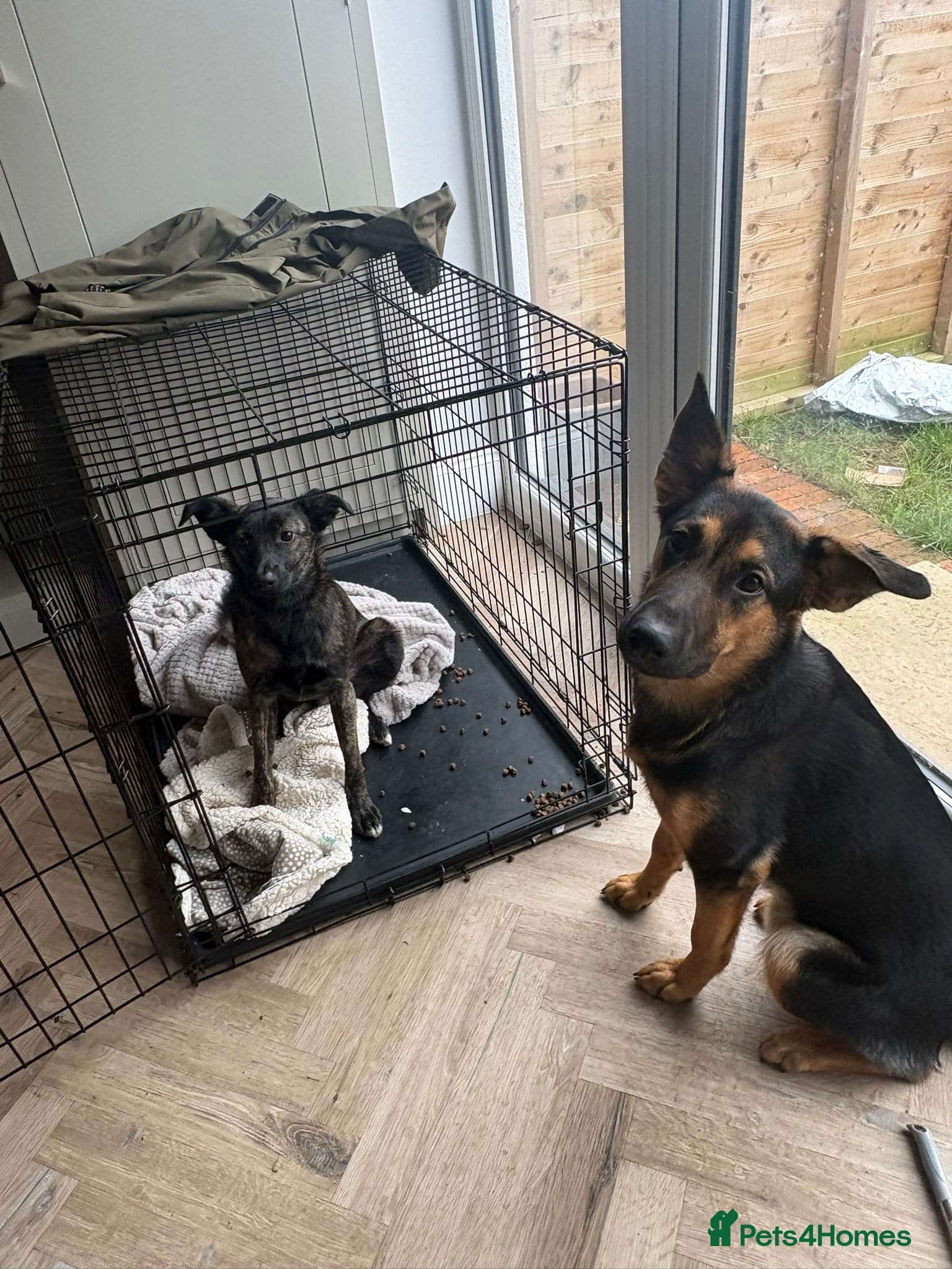 Urgent: ๐milo๐ photo 8