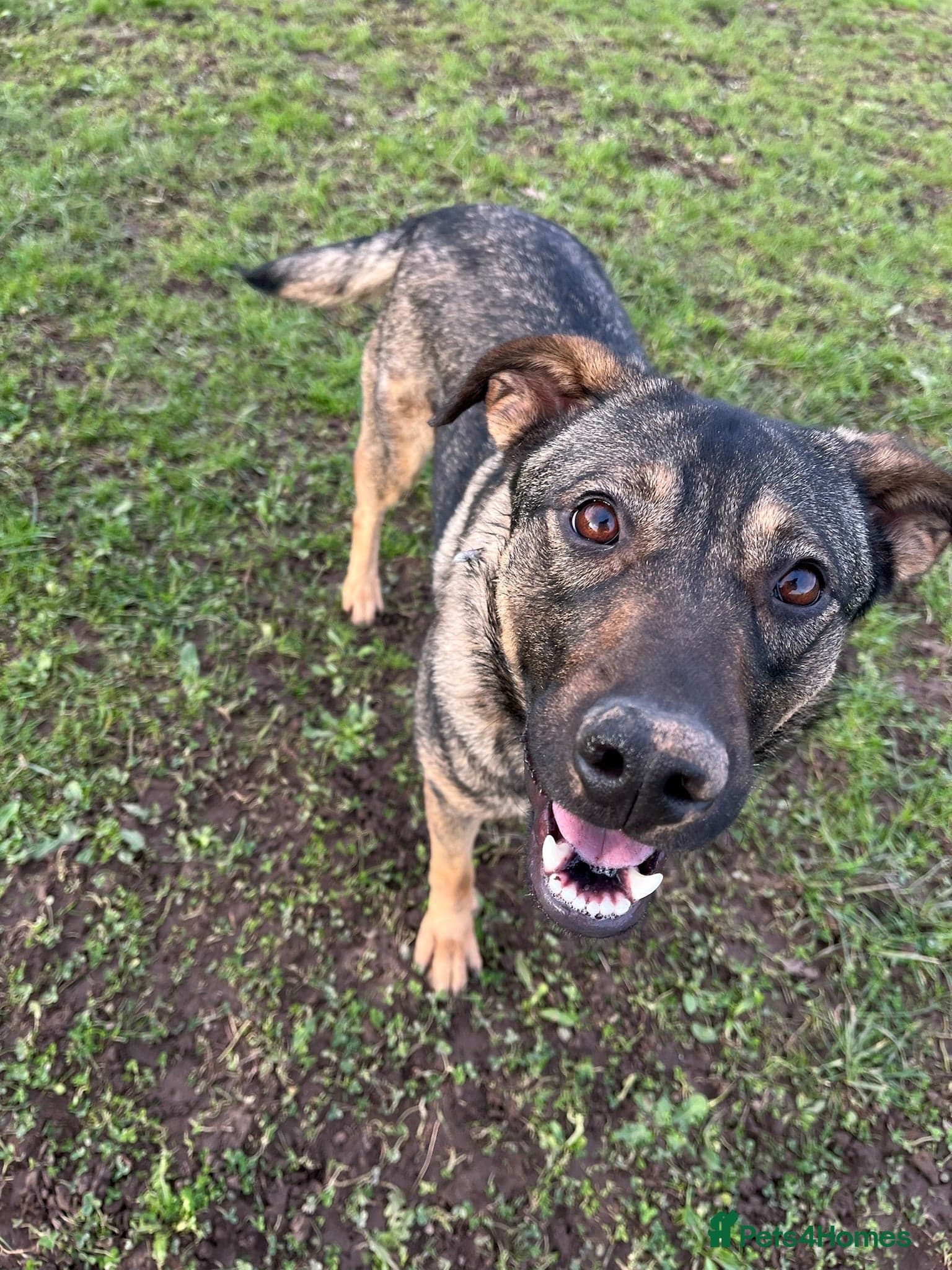 Luna πΎπ photo 16