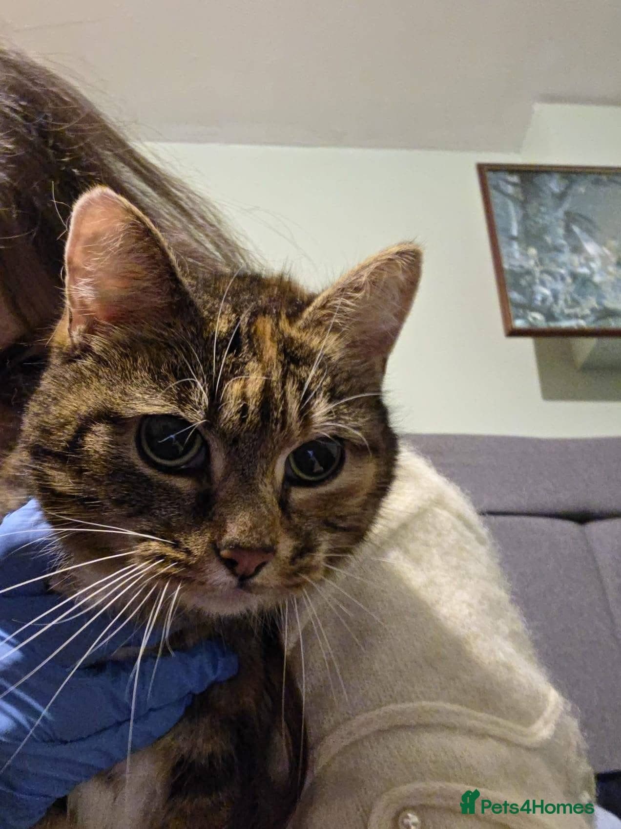 οΈπ± fluffy photo 2