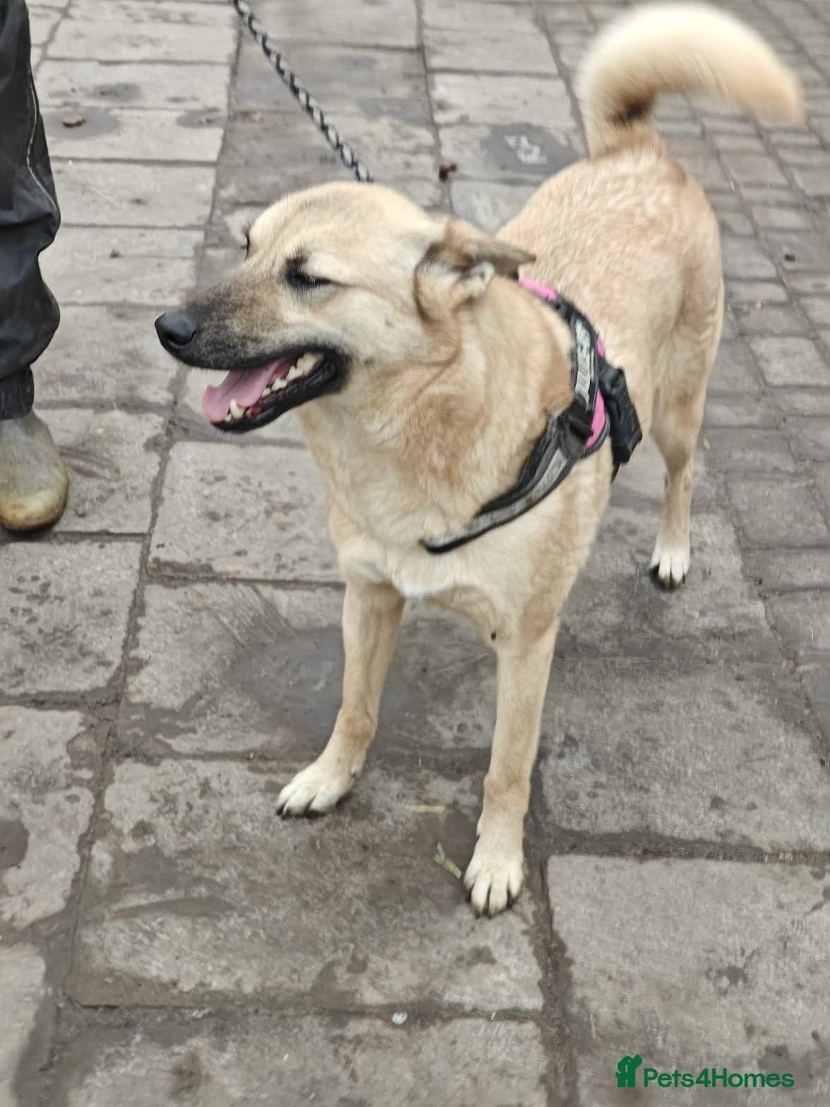 ๏ธ๐ถ stacy photo 23