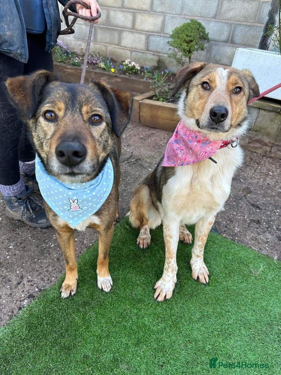 Meet Jake, currently residing in Cheshire photo 18