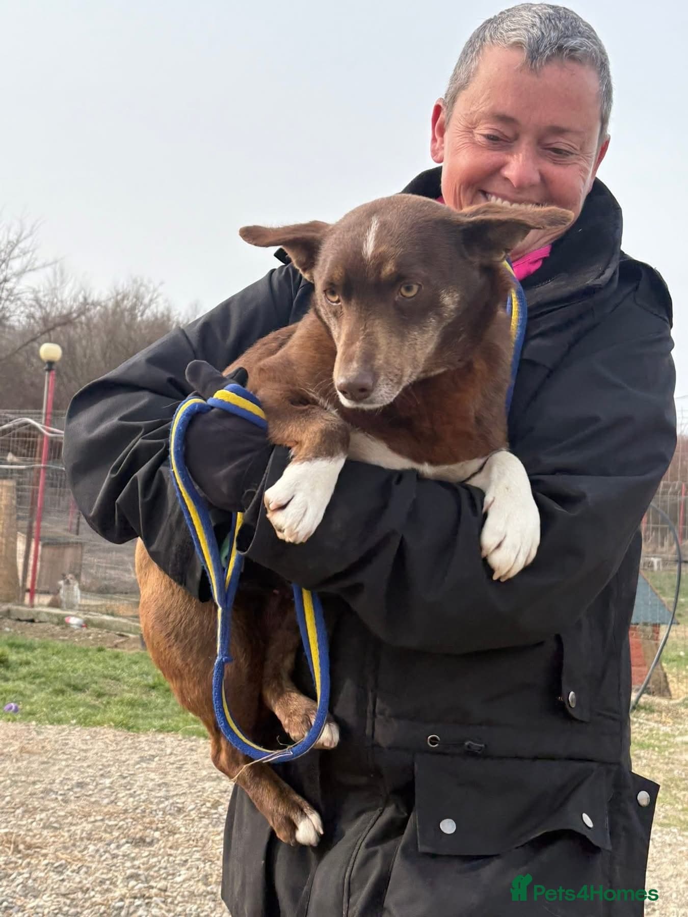 India - Norwich Norfolk photo 5