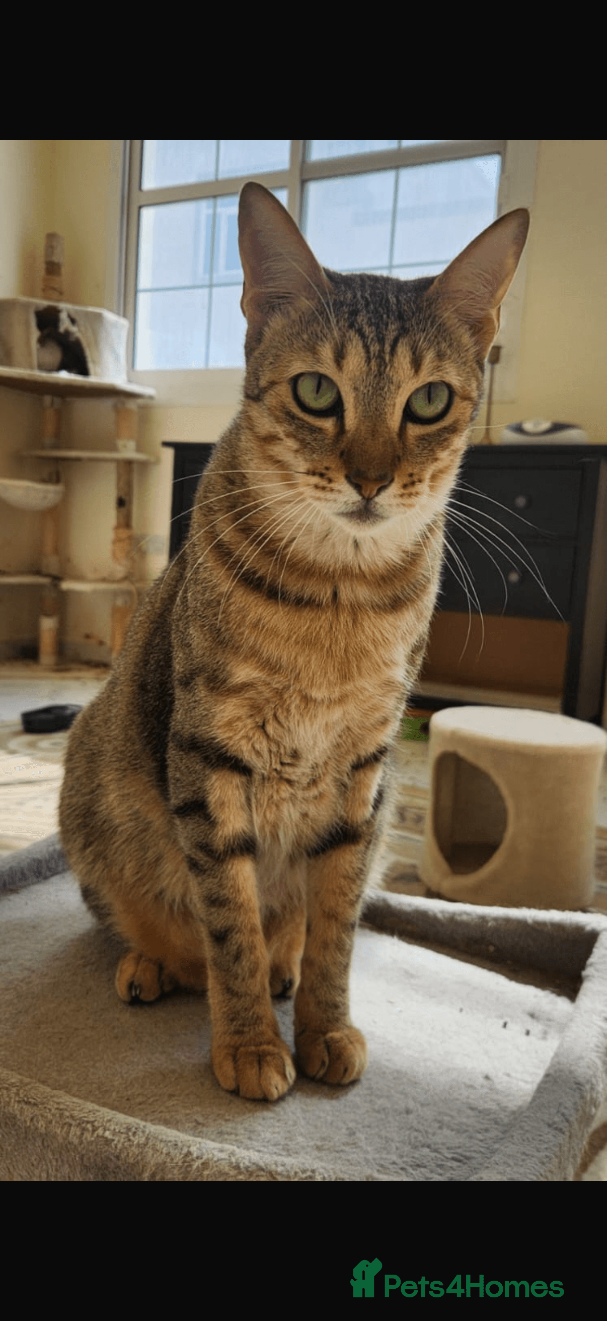 Bubby & Timmy photo 5