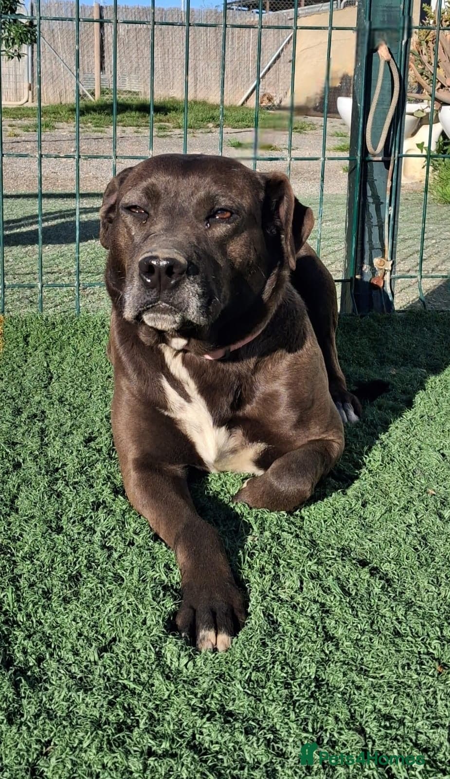 Sira🚨🐾 photo 5