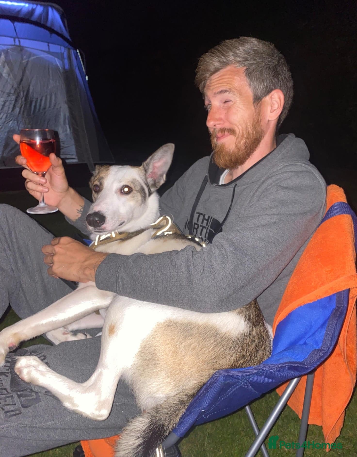 οΈπΆ bela photo 6