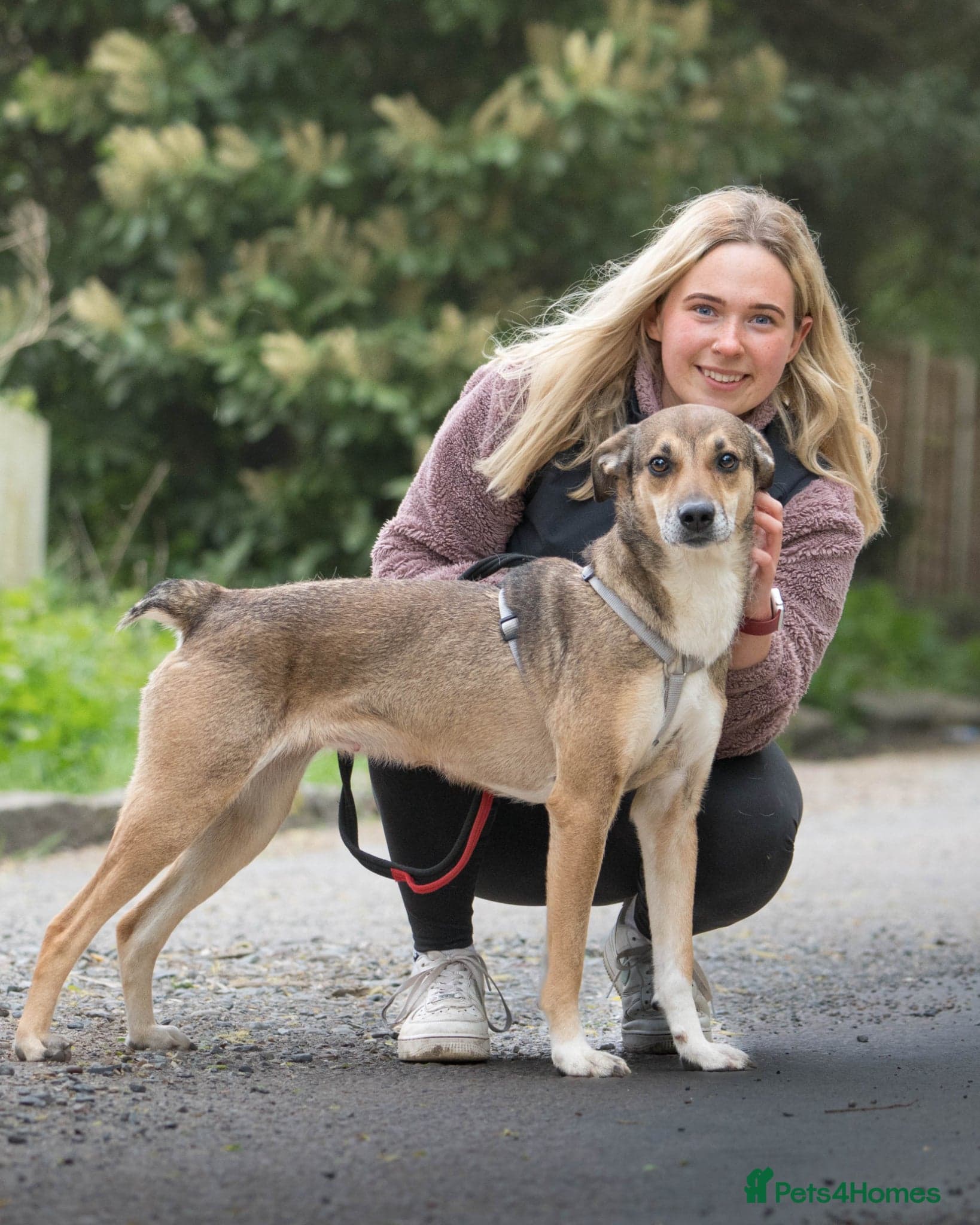 Little Nellie β Mixed Breed