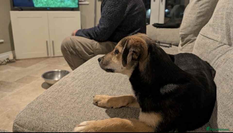 Mikka says “is it me you’re photo 5