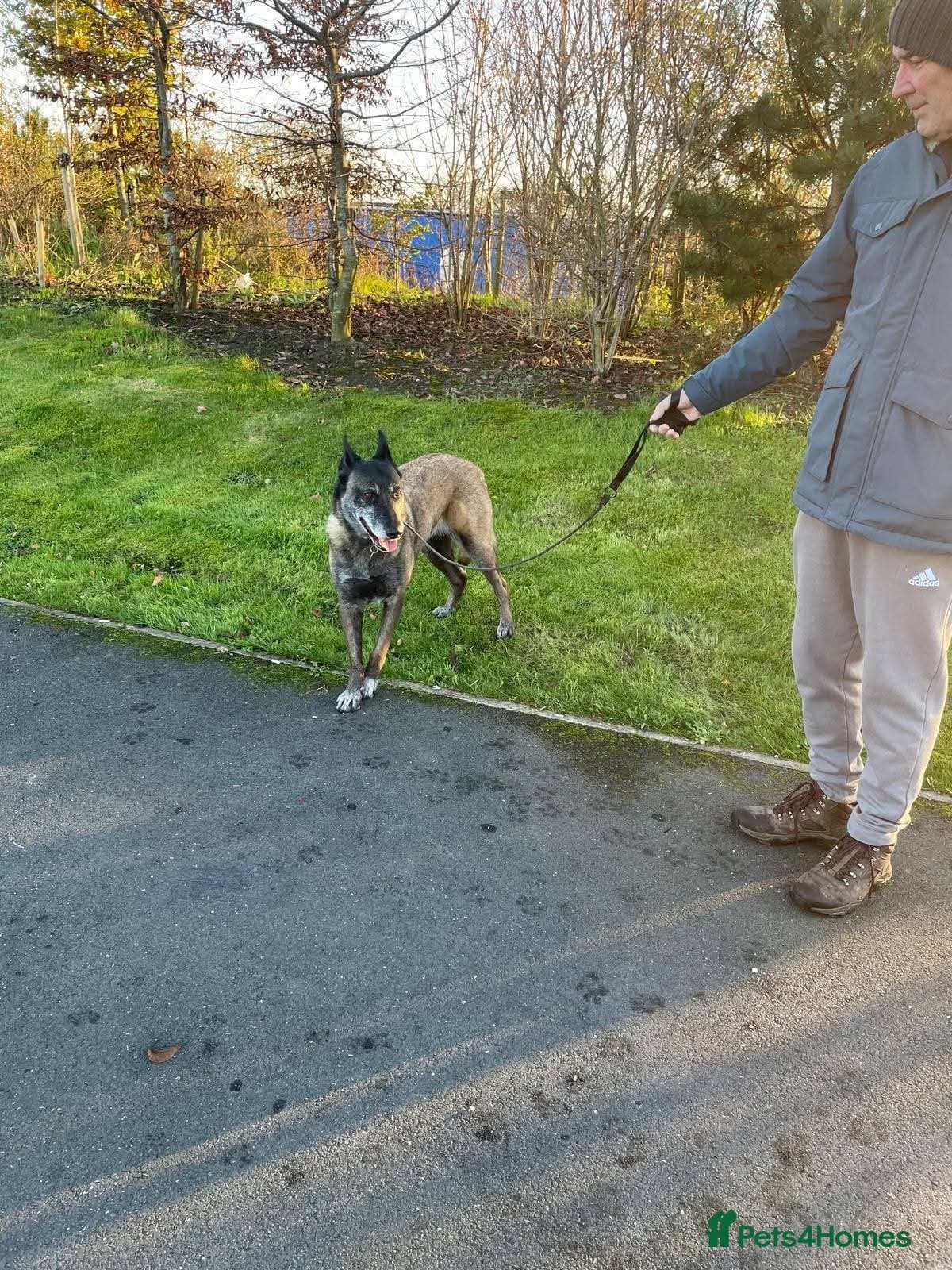 Meet Sasha, currently residing in Merseyside photo 5