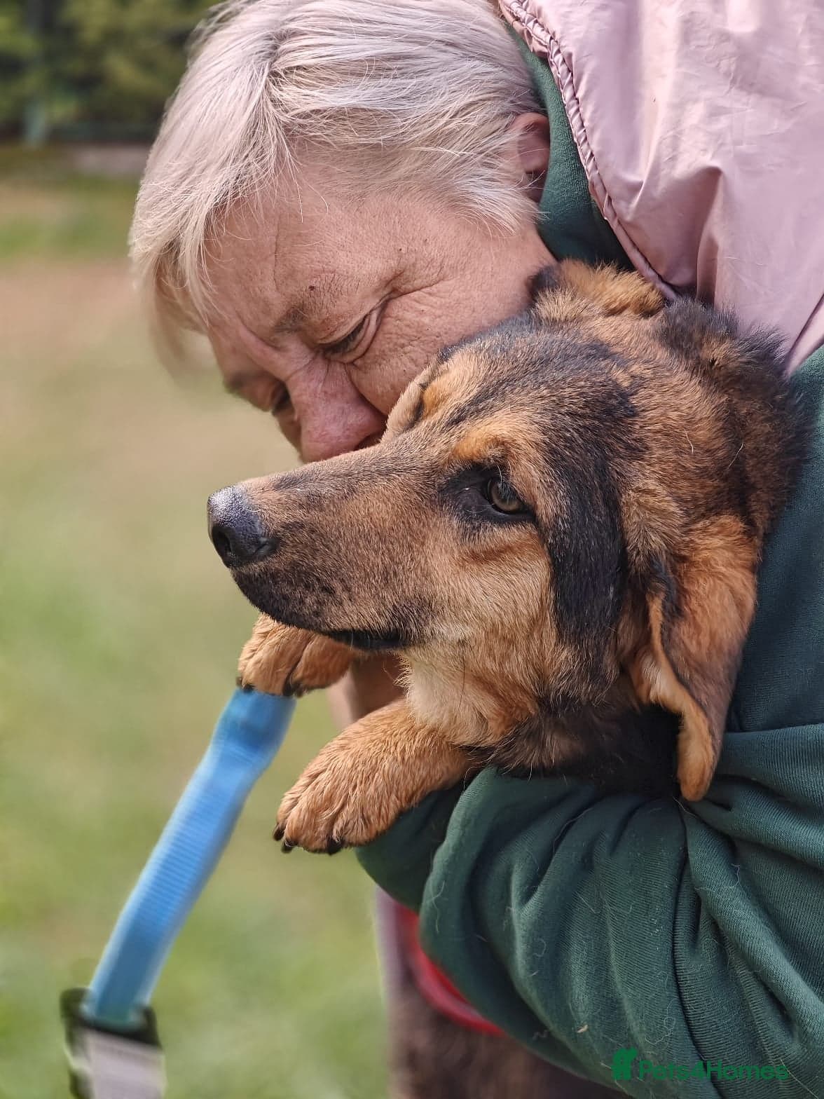 οΈπΆ yasia photo 17