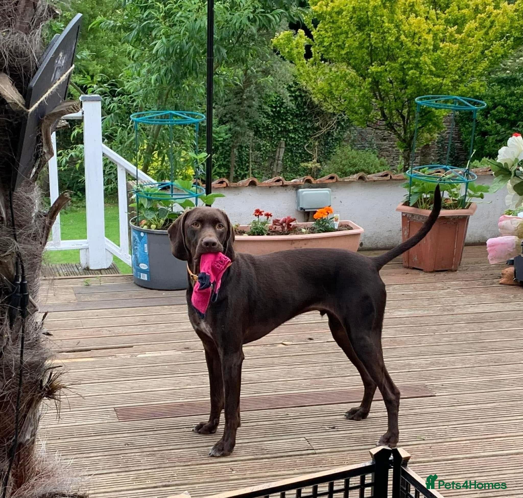 ️ meet wilson photo 15