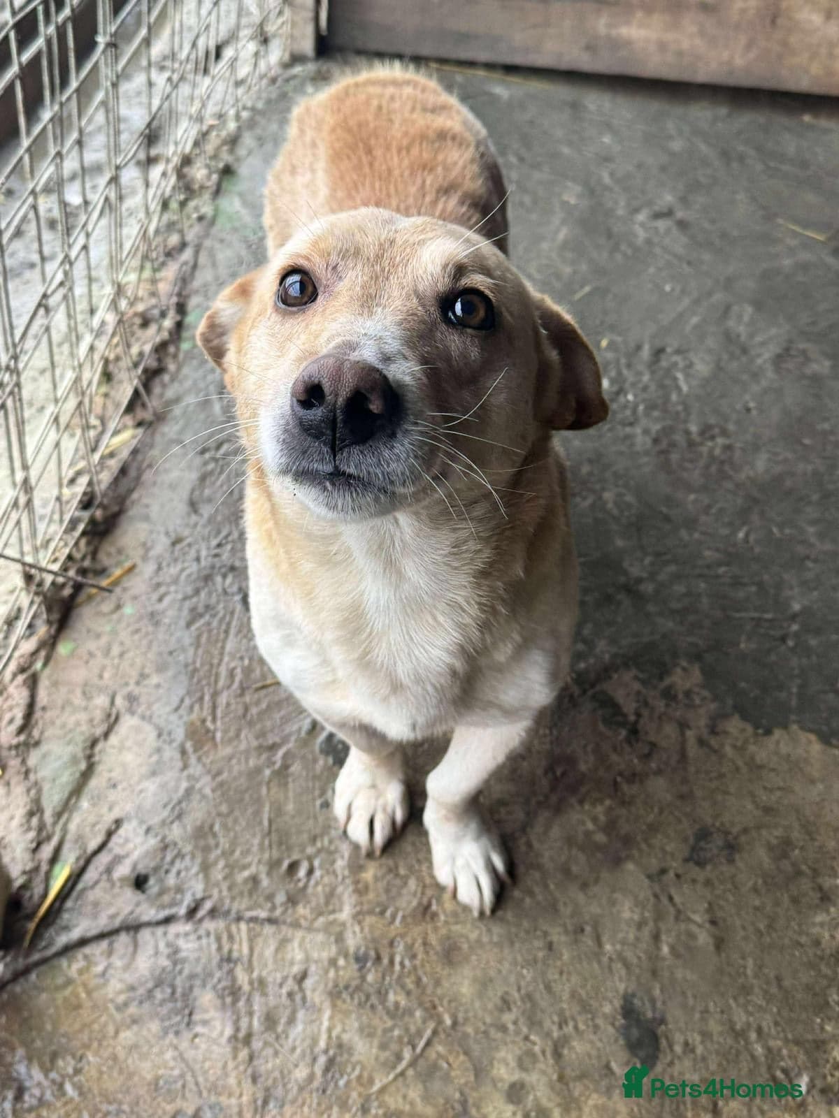 Fantastic Fred photo 4