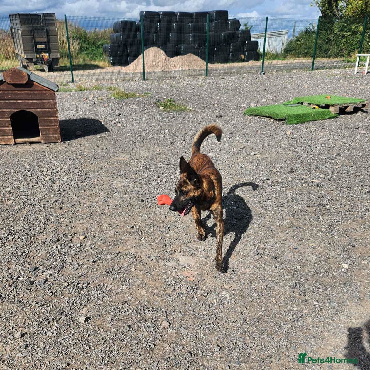 Beautiful buzz photo 8