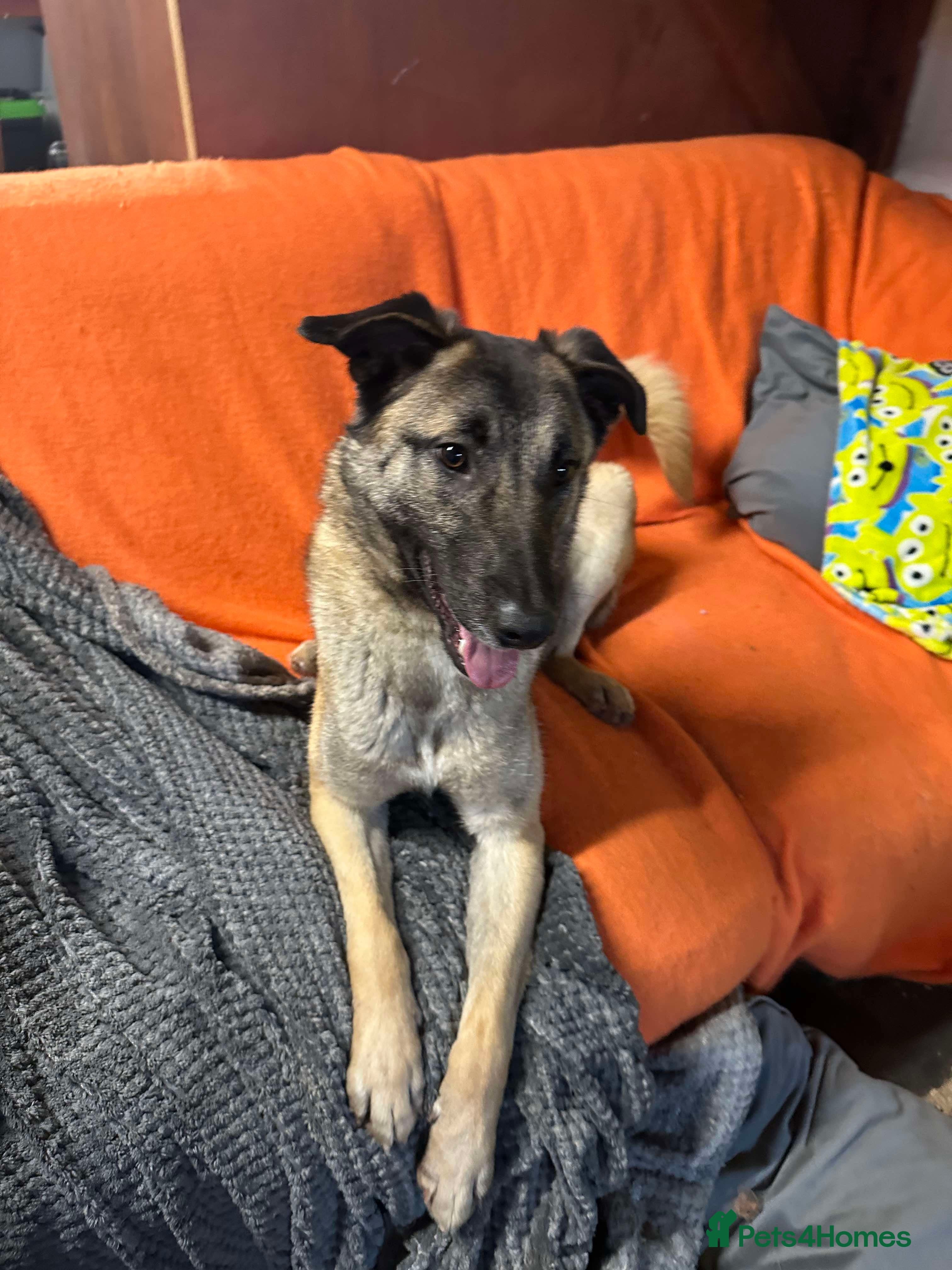 Meet Vera, currently residing in Cheshire photo 32