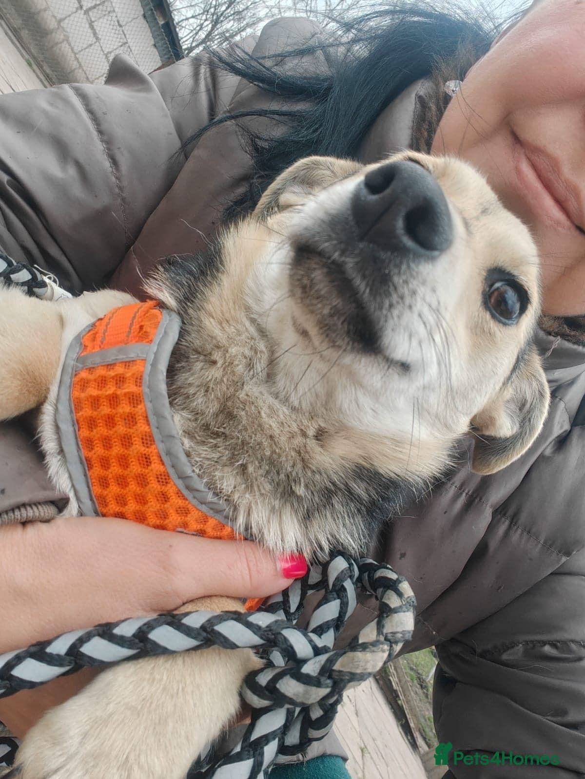 οΈπΆ maree photo 9