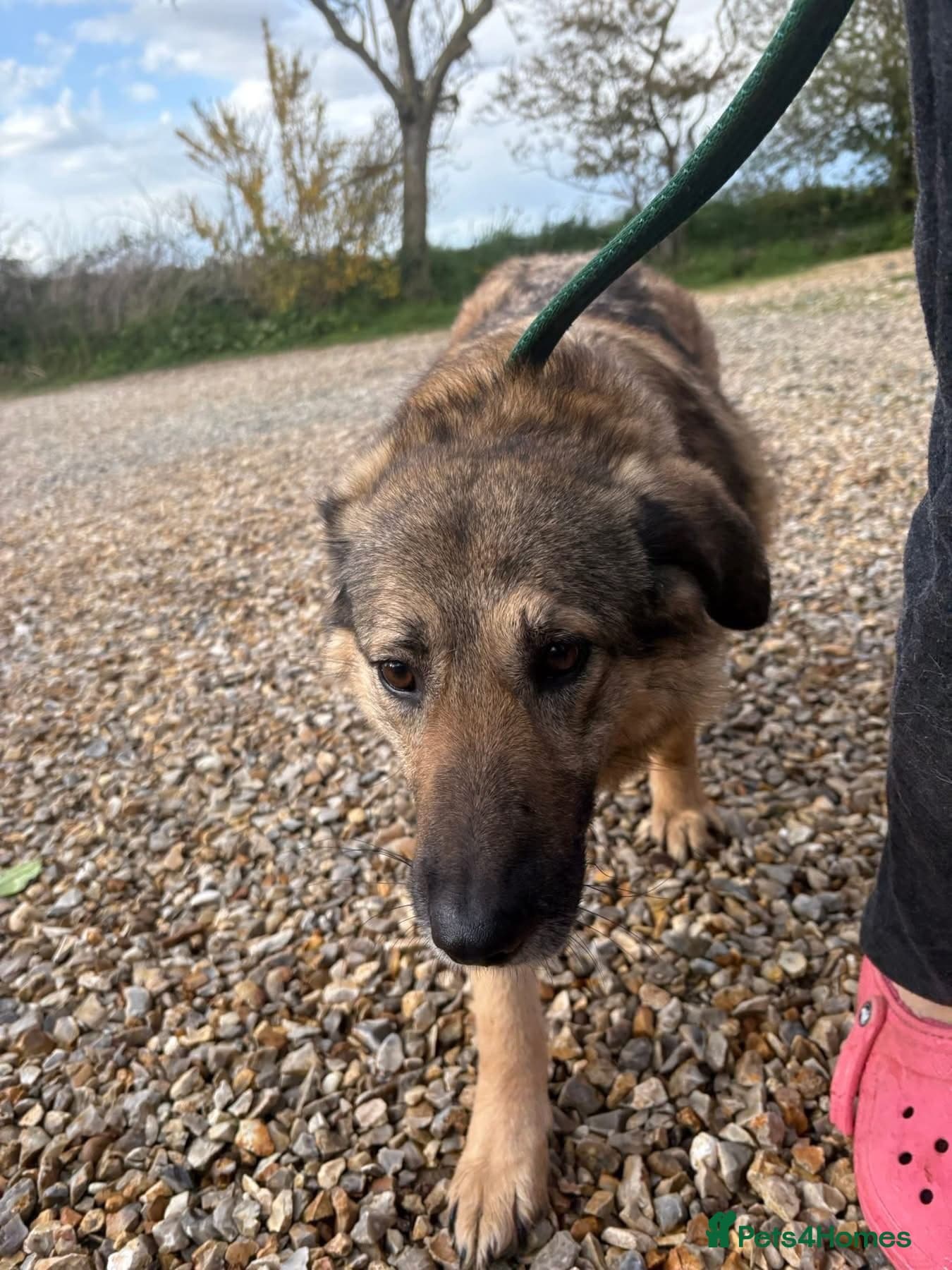 Amanda - Norwich Norfolk photo 14