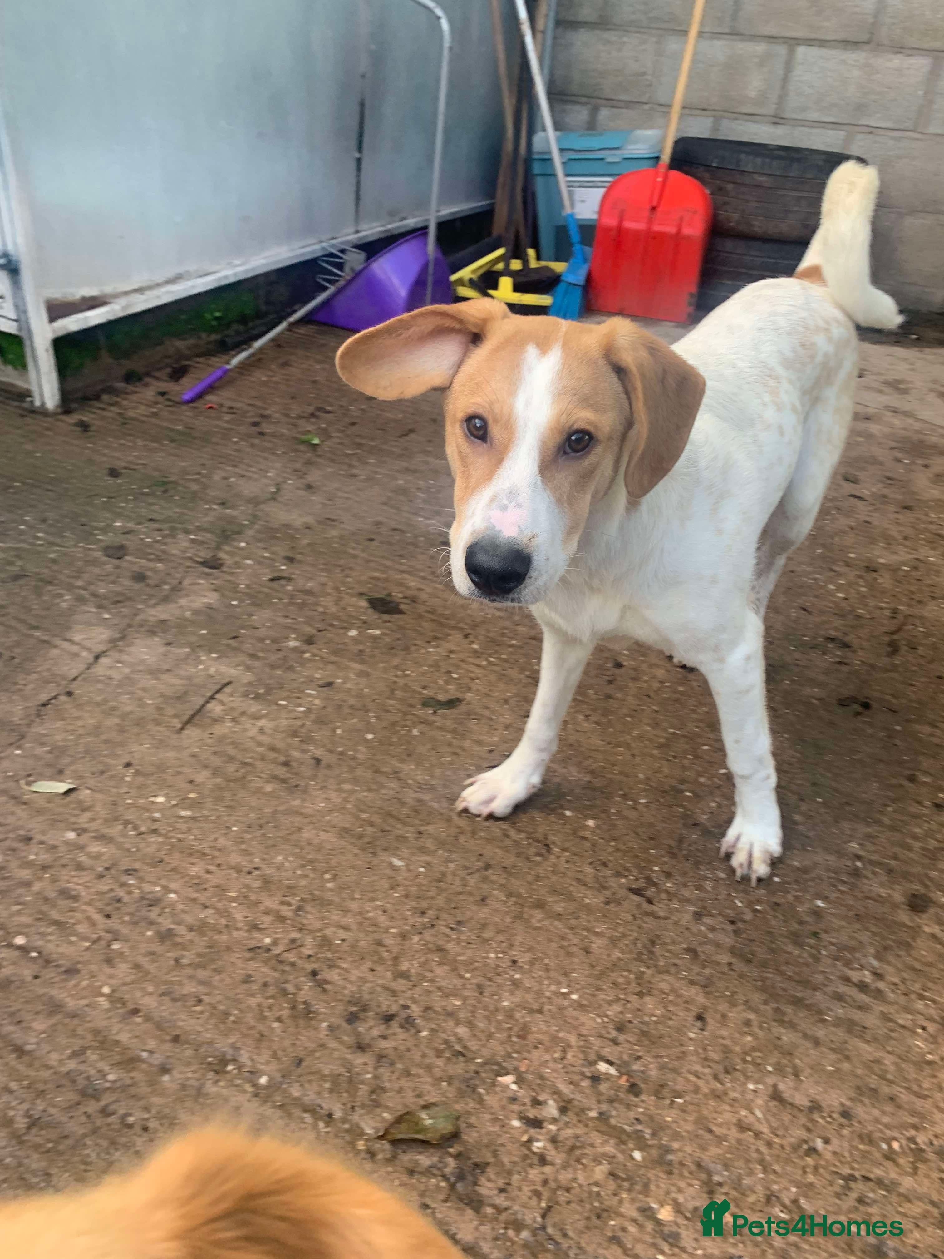 Meet Jordan, currently residing in Cheshire photo 3