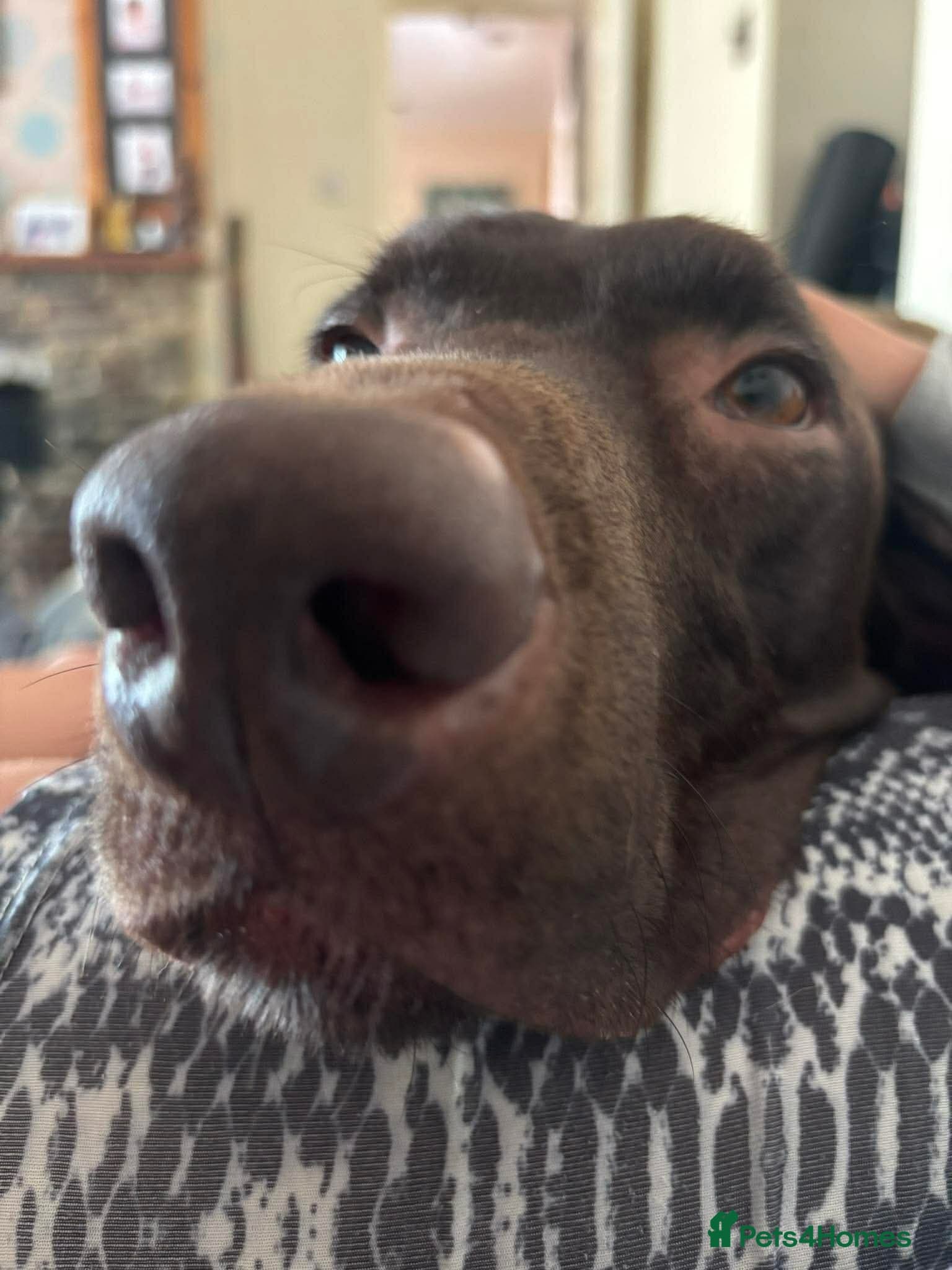 ️ meet wilson photo 16