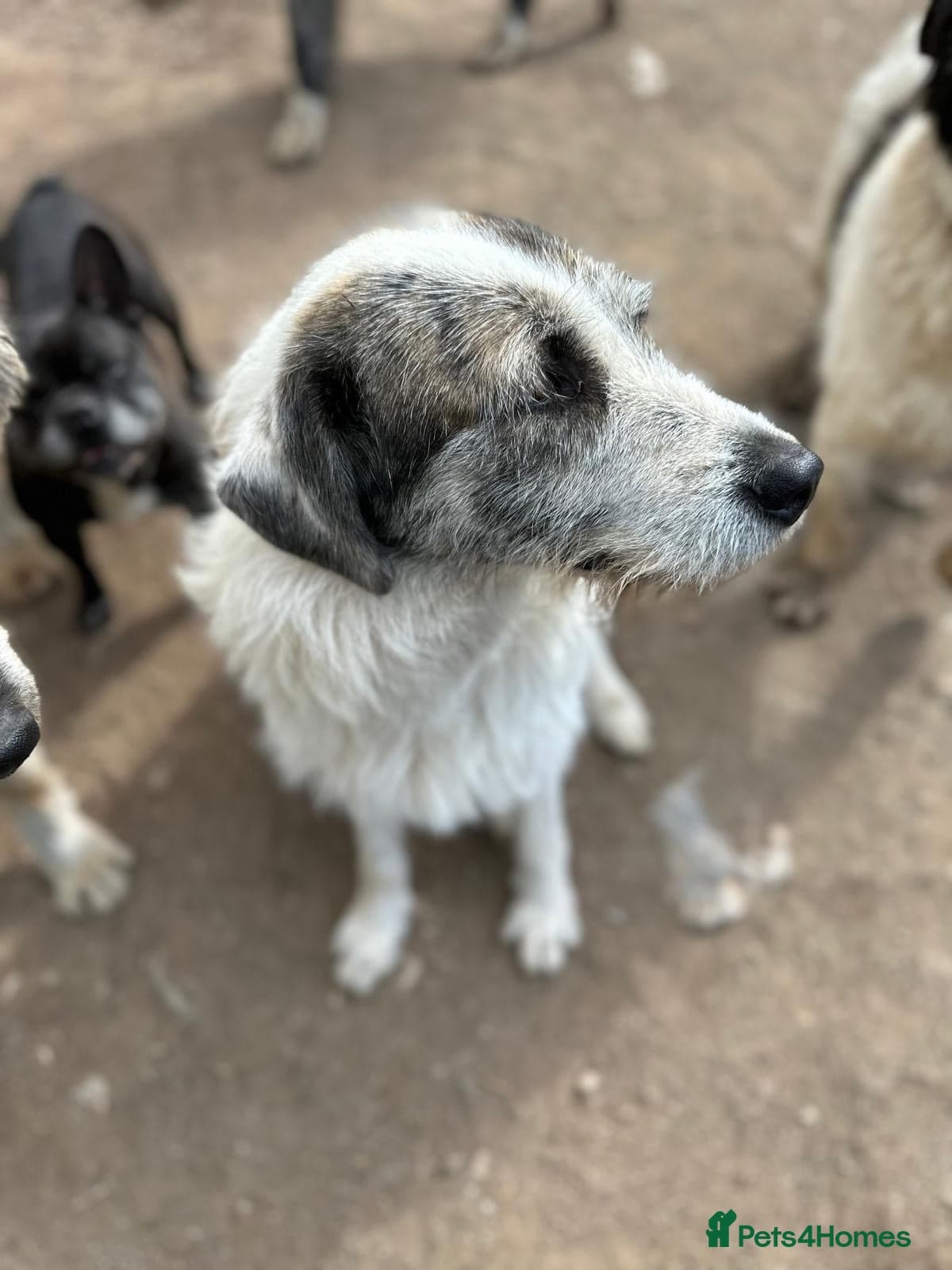 Bella π©· photo 4