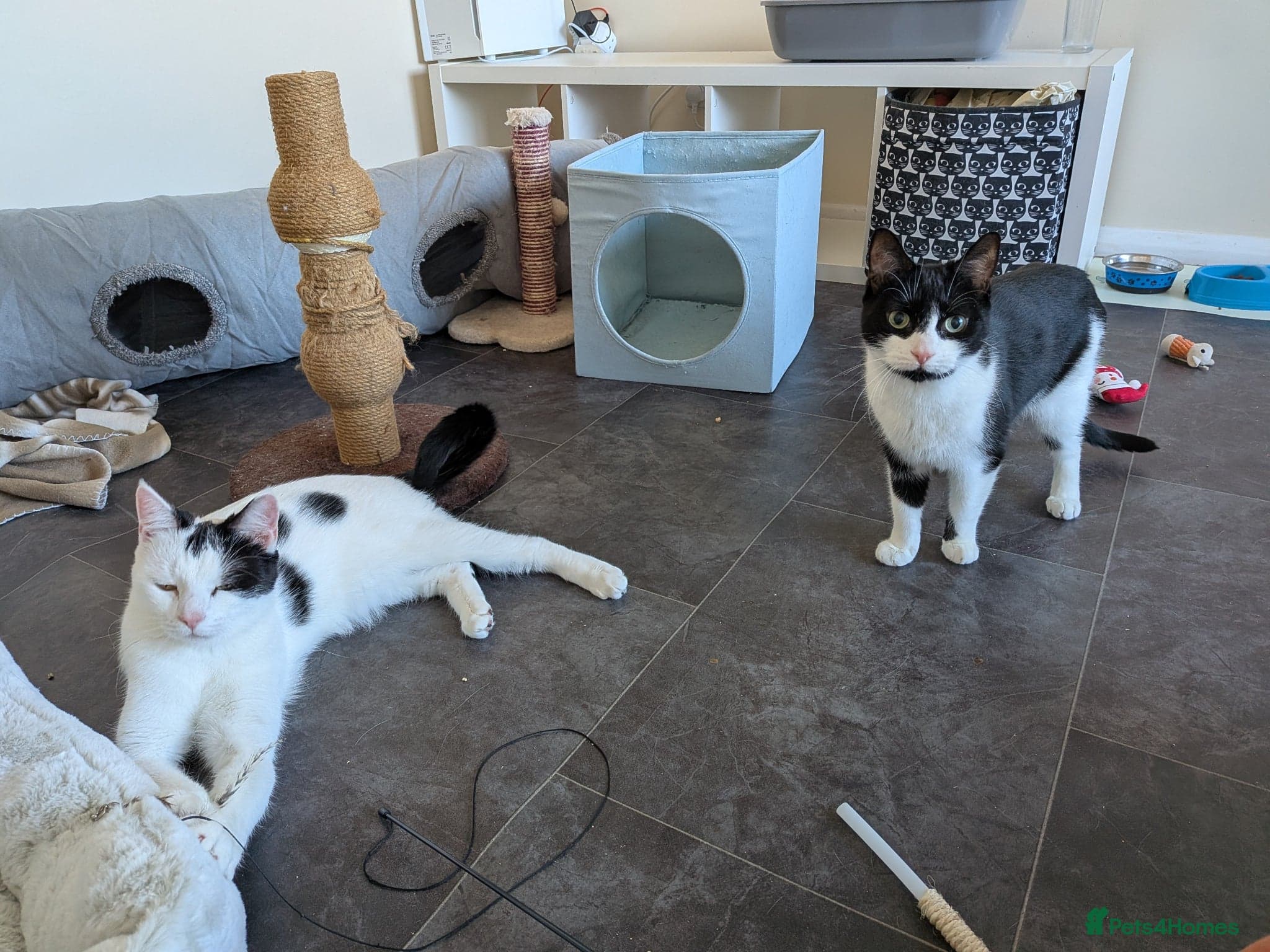 Rosie and Jim photo 4