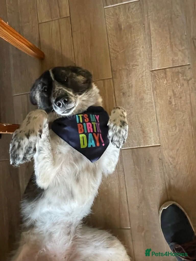 Meet Penny, currently residing in Cheshire photo 5