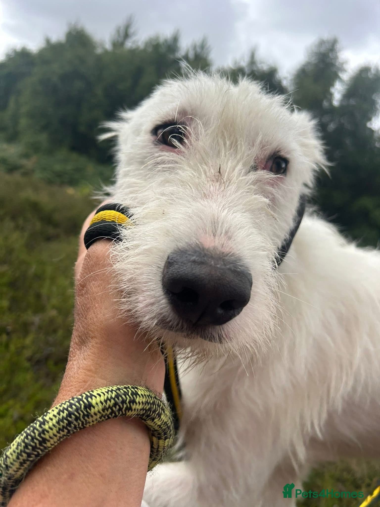 Peter - Norwich Norfolk photo 15