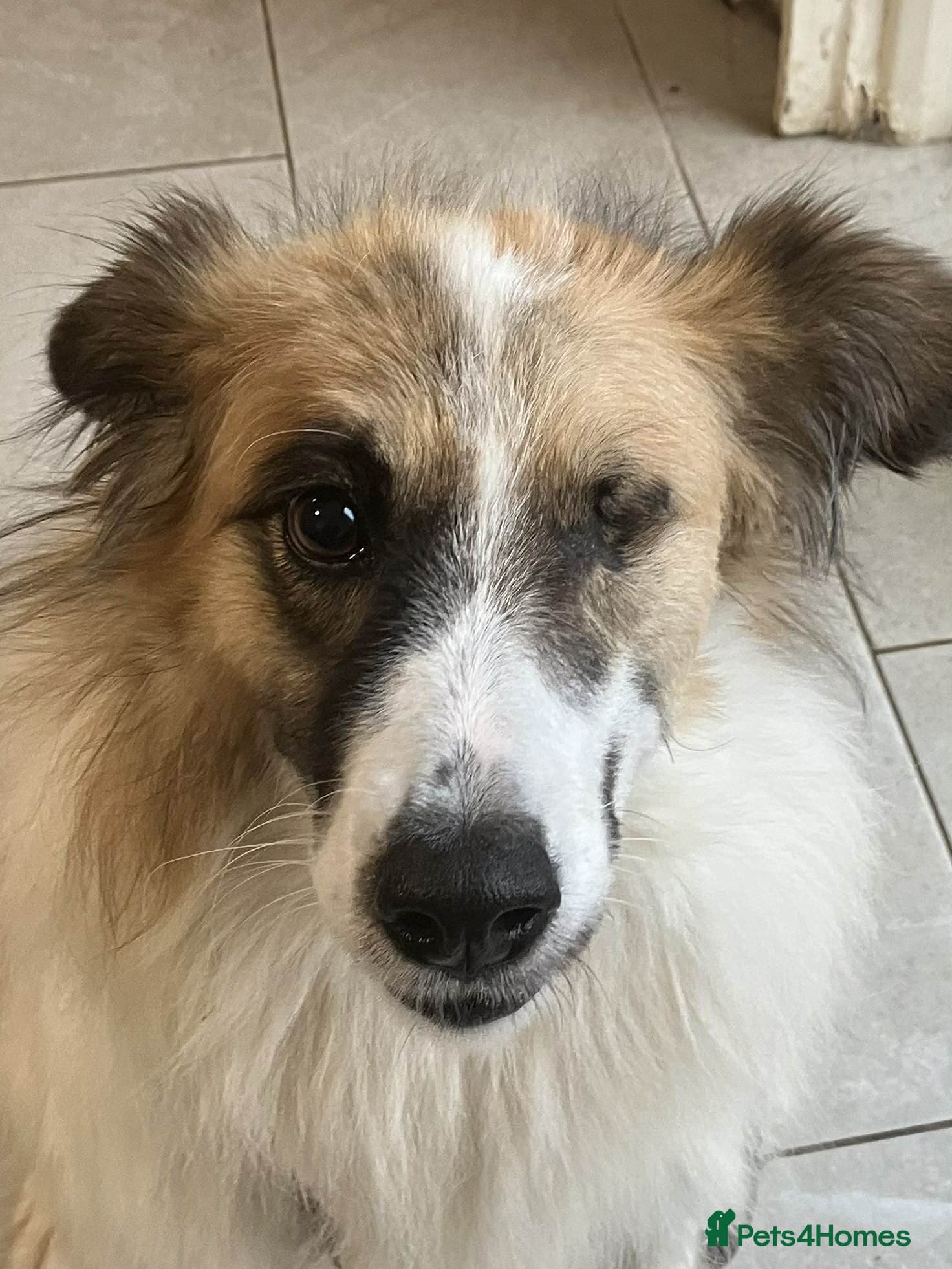 Jessie ❤️ photo 7