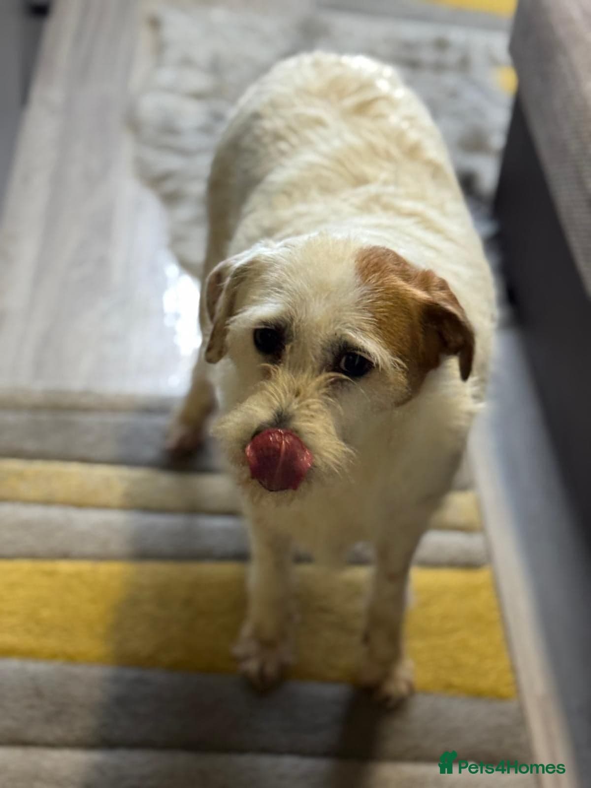 Cute girl Pepsi photo 10