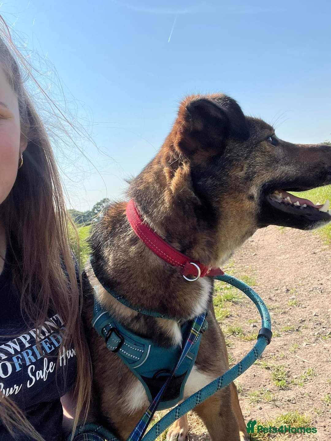 Meet Jake, currently residing in Cheshire photo 6