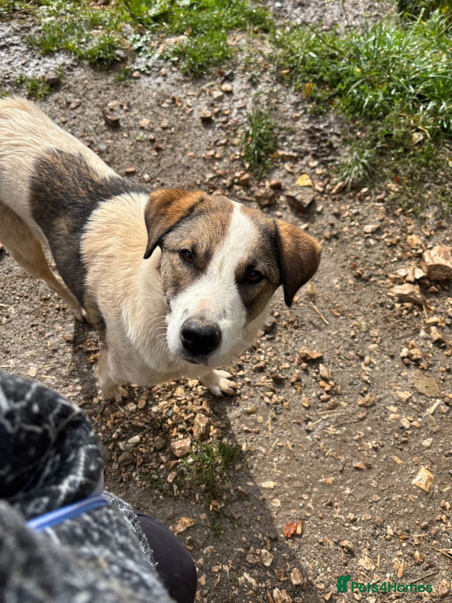 Could you be the family Mercy photo 5