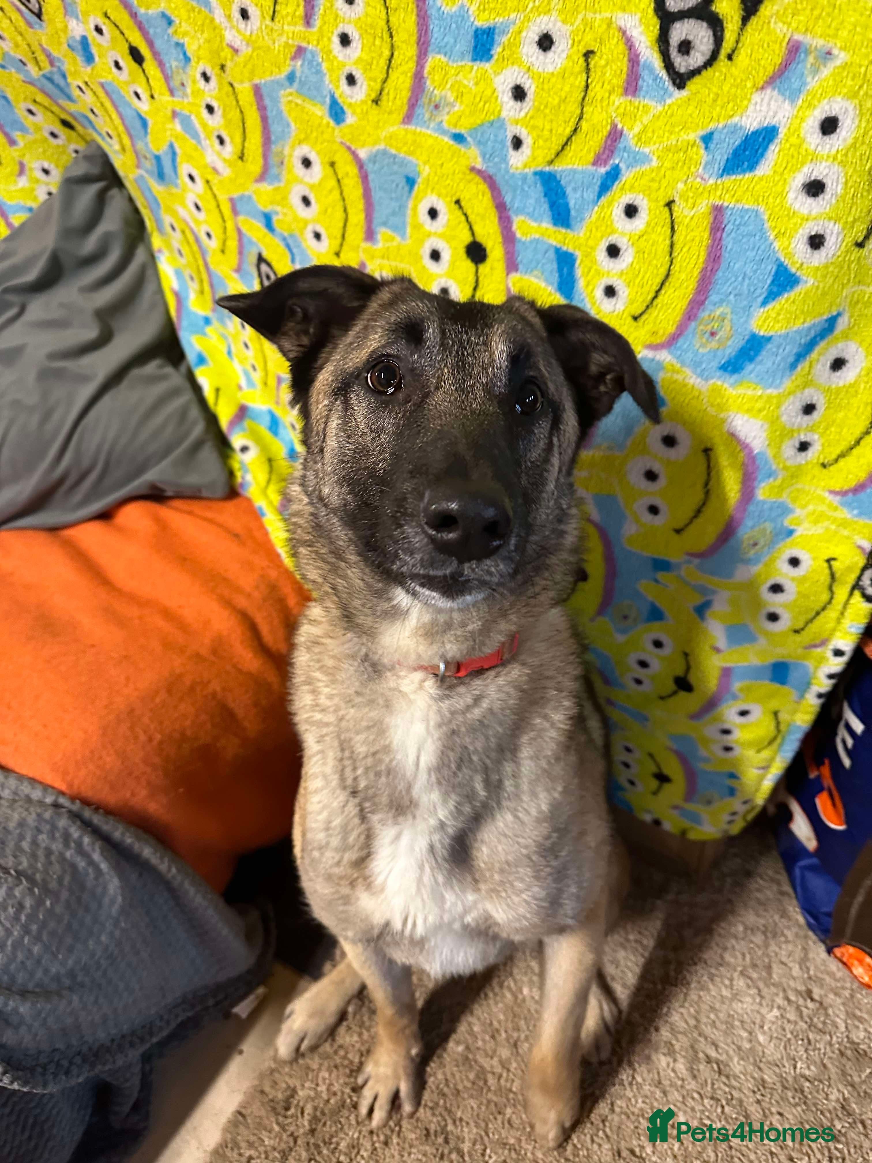 Meet Vera, currently residing in Cheshire photo 30