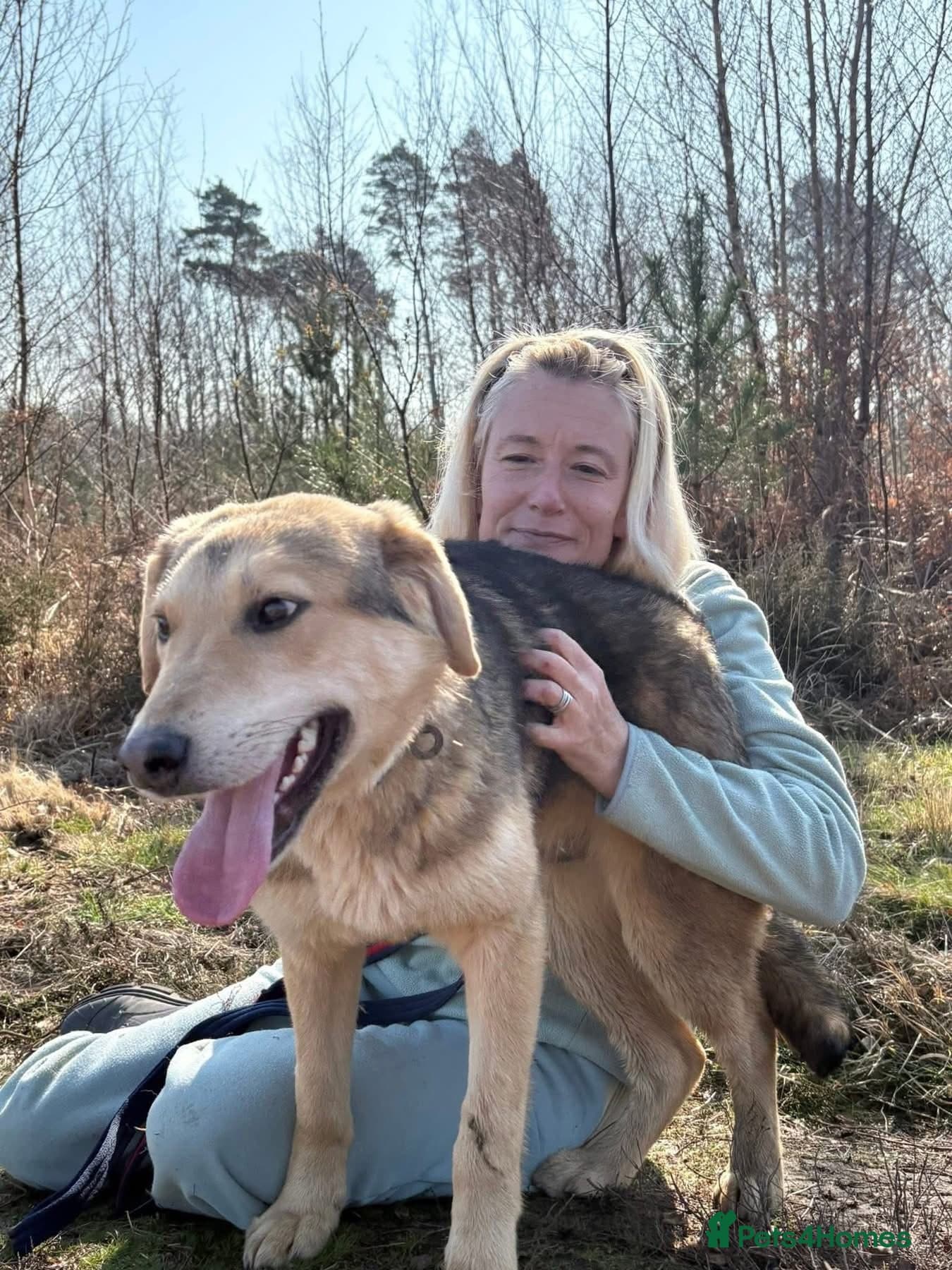 Neddy - Norwich Norfolk photo 4