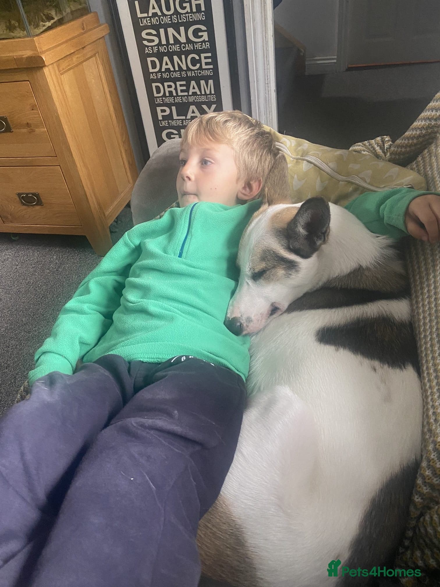 οΈπΆ bela photo 13