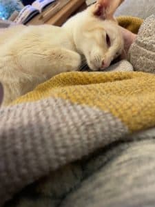 Ruby, Ruby, Ruby photo 5